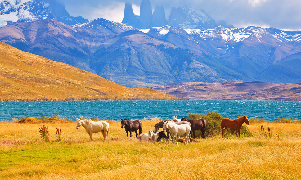 Torres del Paine