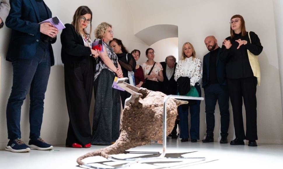 Liberece atidaryta Lietuvos šiuolaikinio meno paroda, skirta narystės Europos Sąjungoje 20-mečiui