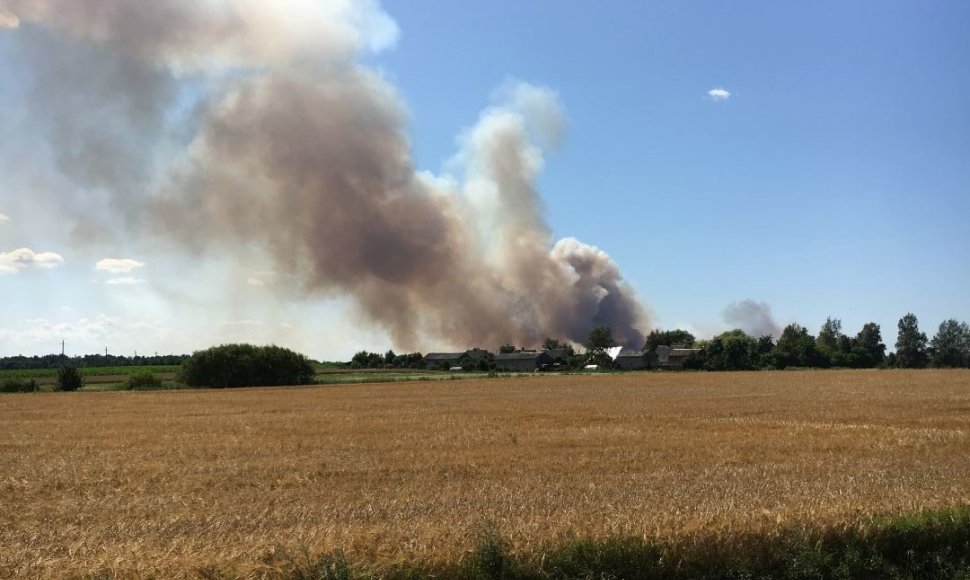 Kauno rajone degė 200 hektarų javų laukas