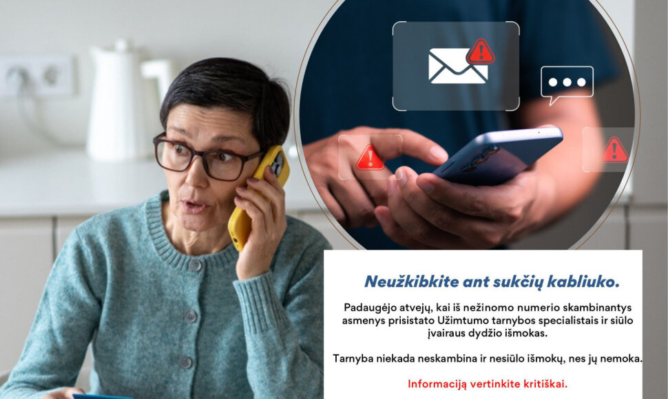 Sukčiai internete, afera