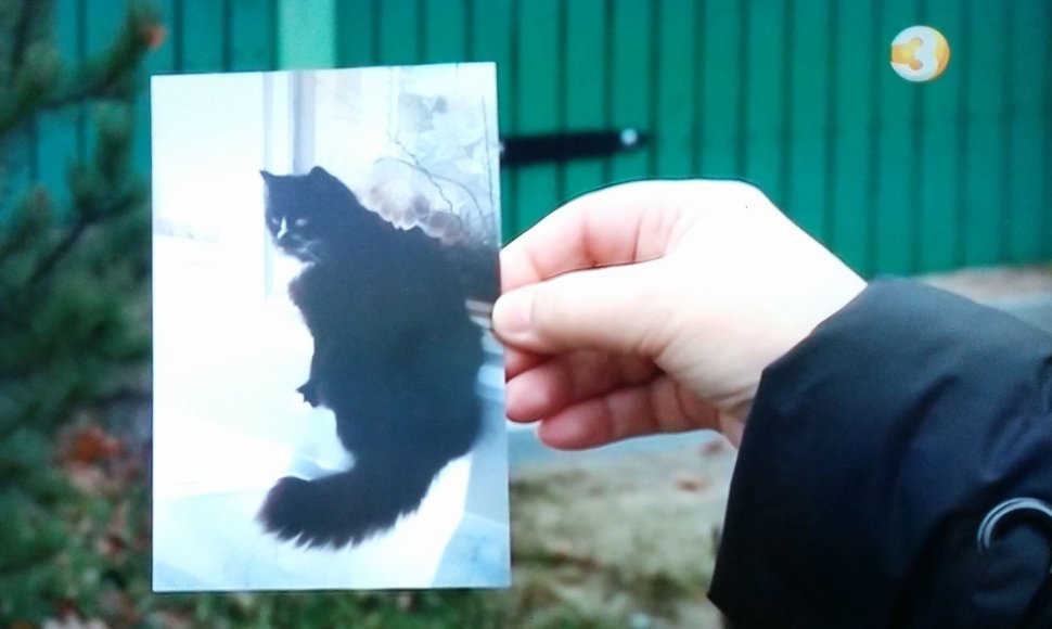 Katė Musė su šiauliečių šeima gyveno dešimt metų.
