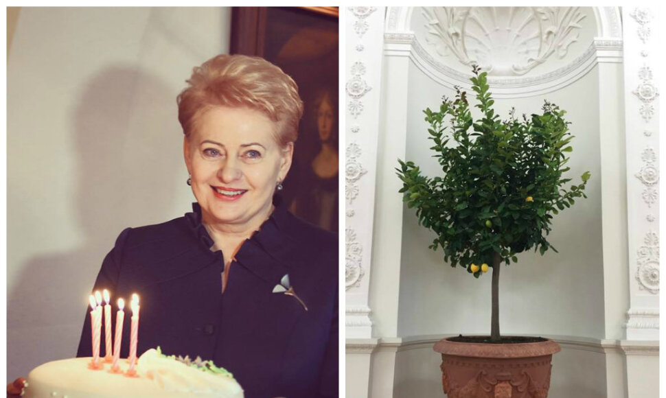 Dalia Grybauskaitė &scaron;venčia jubiliejų