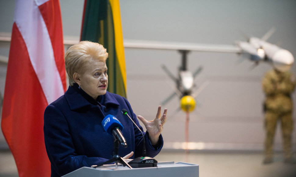 Dalios Grybauskaitės ir Danijos premjero Larso Lokke Rasmusseno susitikimo akimirka