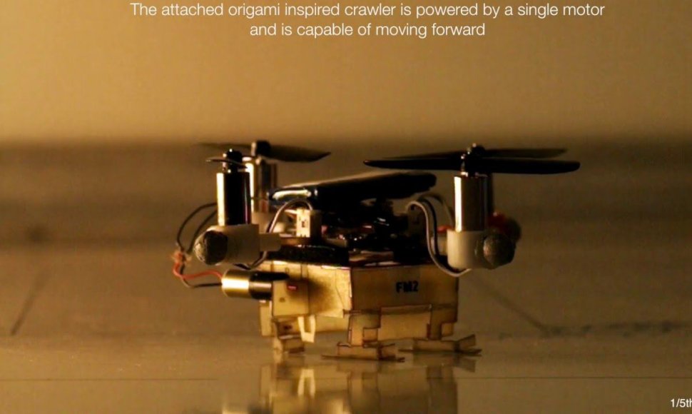 the-picobug-a-mesoscale-robot-that-can-run-fly-and-grasp