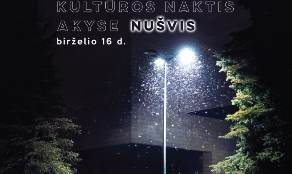 „Kultūros naktis 2017“