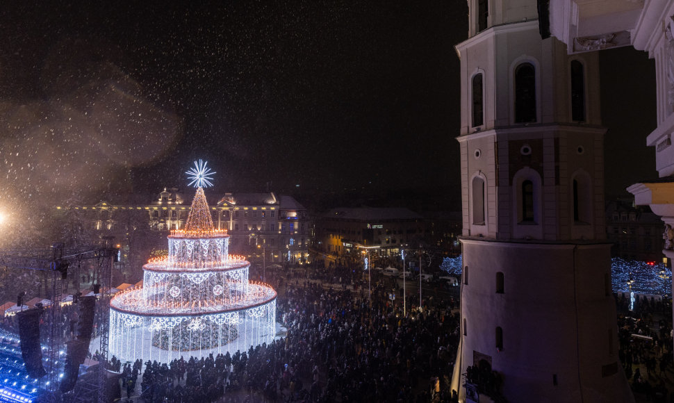 Vilniaus Katedros aikštėje įžiebta Kalėdų eglė