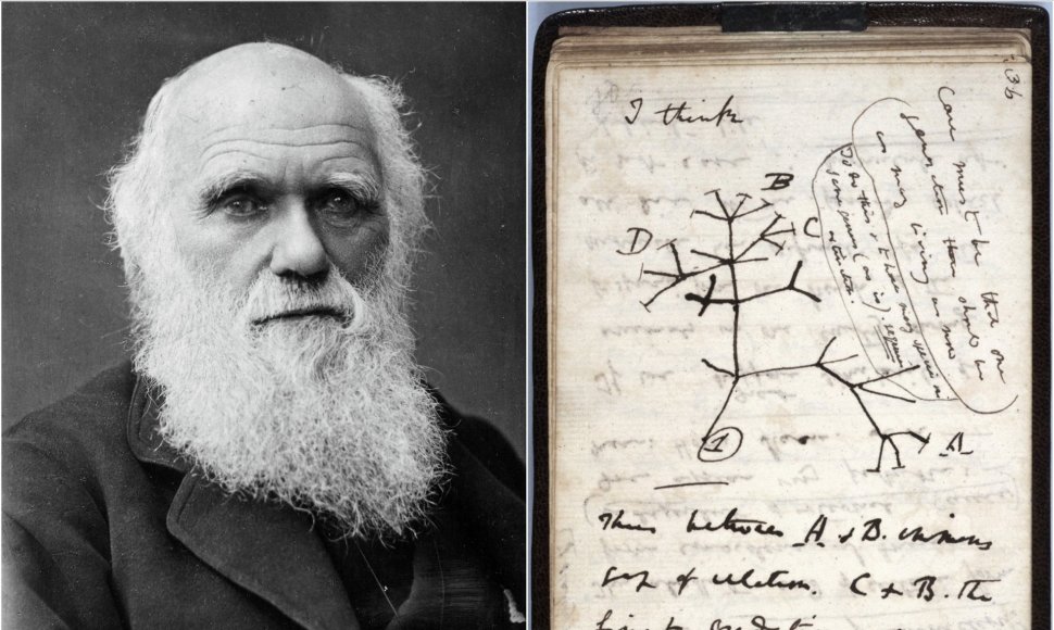 Ch.Darwinas ir jo pavogti užrašai
