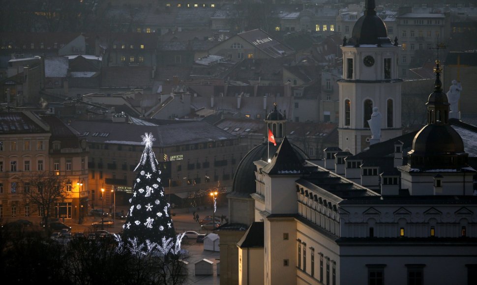 Kalėdų eglė Vilniaus Katedros aikštėje