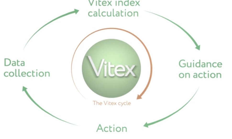 Vitex platforma