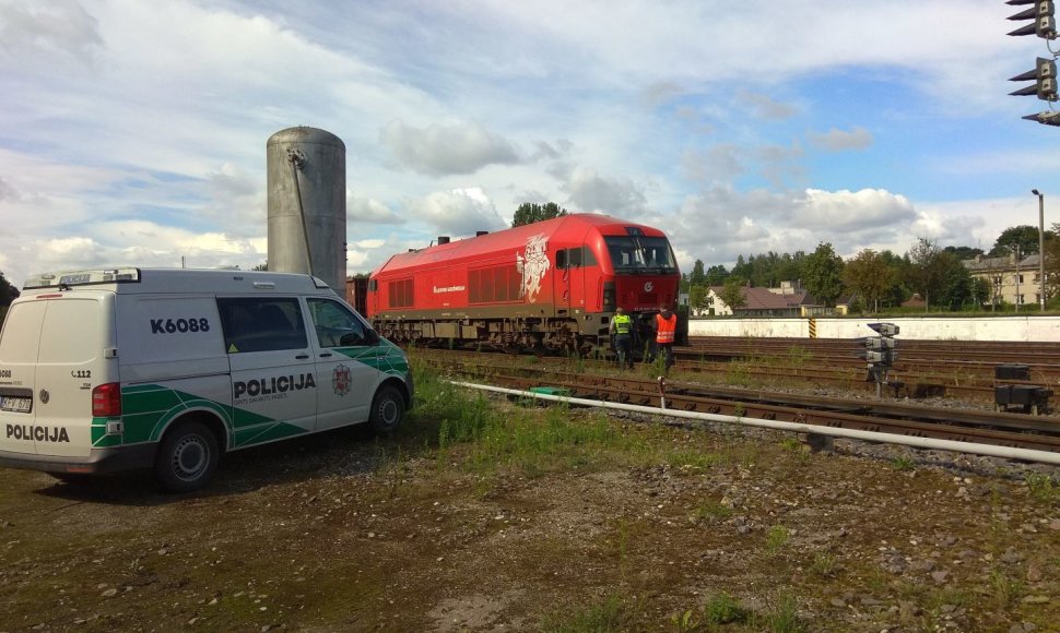 Kėdainių rajone krovininis traukinys partrenkė žmogų