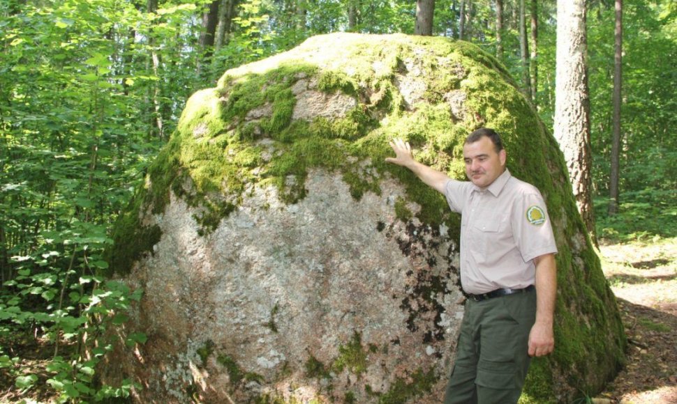 Stambiausias riedulys Ožakmenis dar vadinamas Rokiškio Puntuku. Prie legendomis apipinto akmens – girininkas Vidmantas Šarkambiškis
