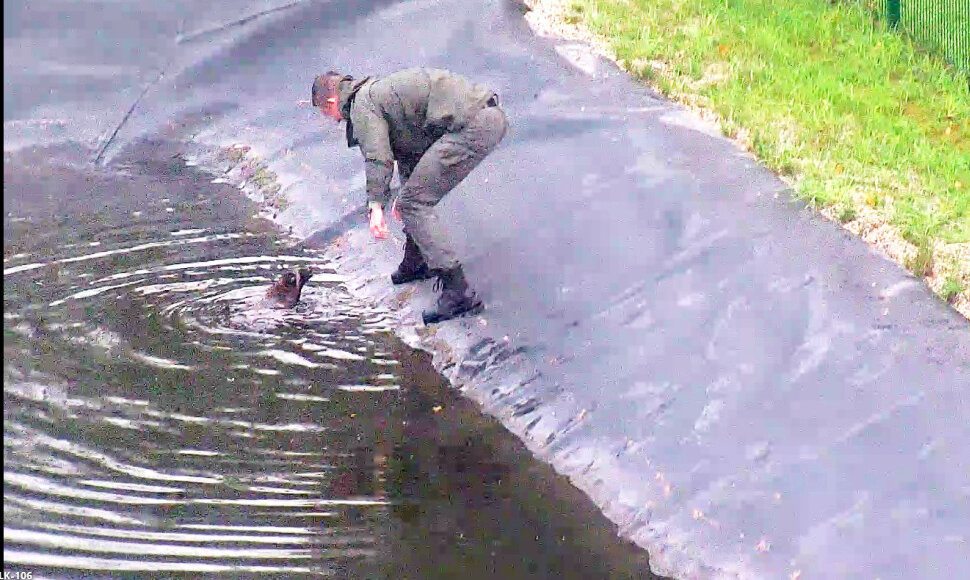 Me&scaron;kėno gelbėjimo operacija