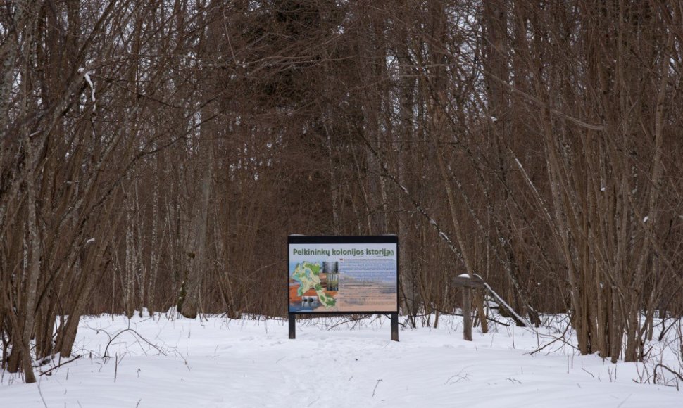 Žalgirių pažintinis takas