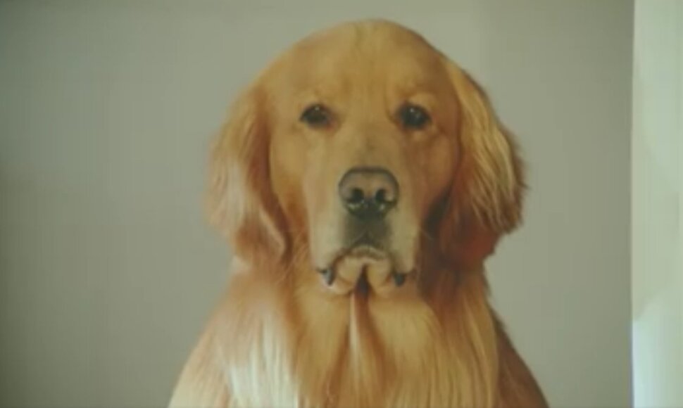 &Scaron;uo i&scaron; &Scaron;uo i&scaron; &bdquo;Amazon&ldquo; reklamos reklamos