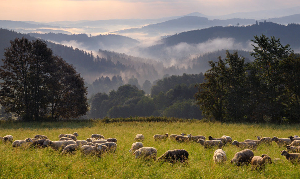 Šumava, Čekija