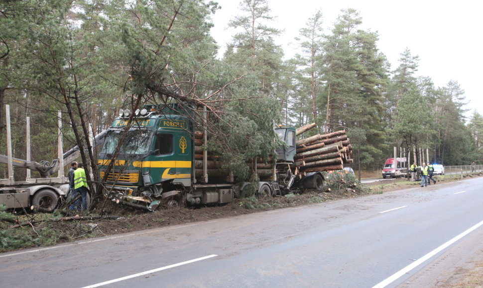 Nemenčinės plente miškovežis patyrė avariją