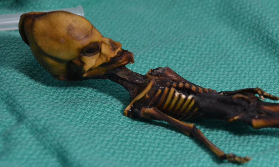 Atakamos skeletas