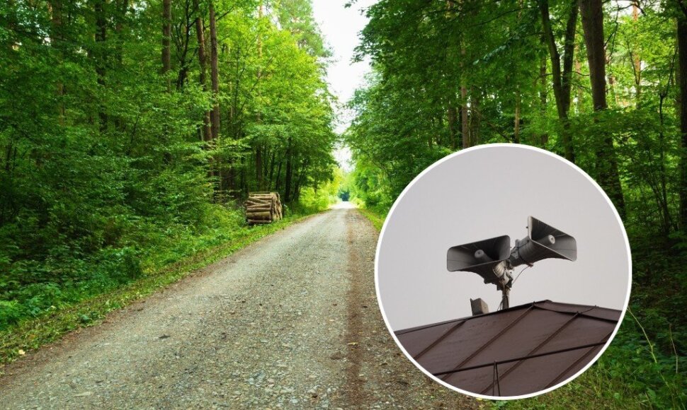 Kai oro pavojus užklumpa miške