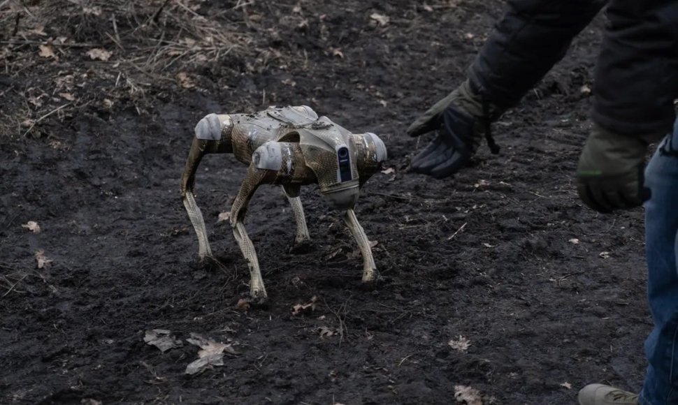 Robotas šuo