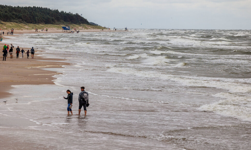 Vėjuota Palanga