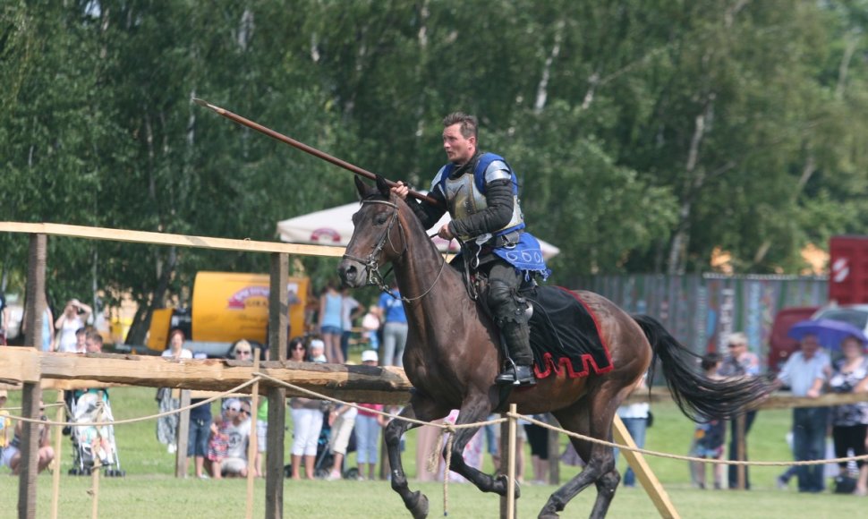 Naisių vasaros festivalis 2014