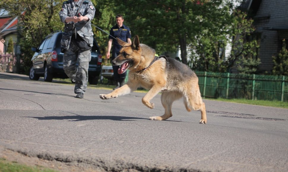 Policijos šunų mokymai