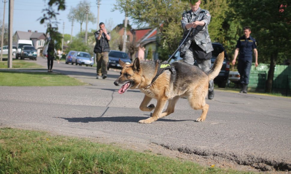 Policijos šunų mokymai