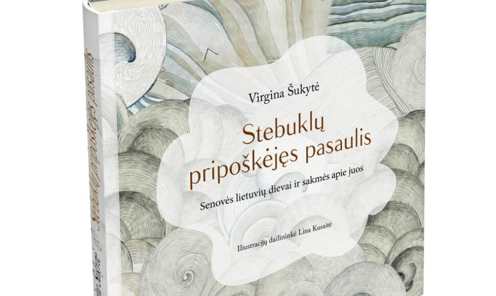 Knygos viršelis