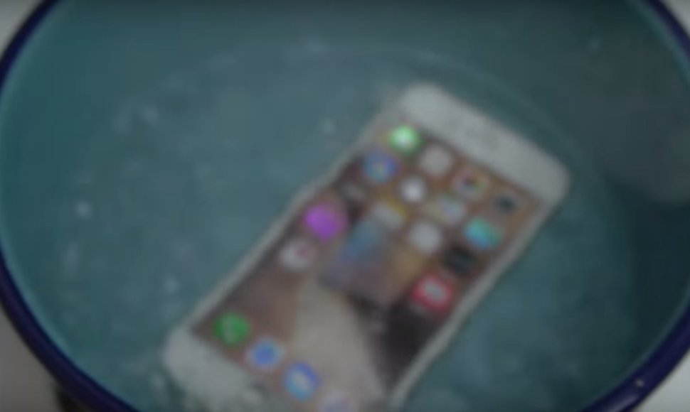 „iPhone 6s“ telefonas verdančiame vandenyje