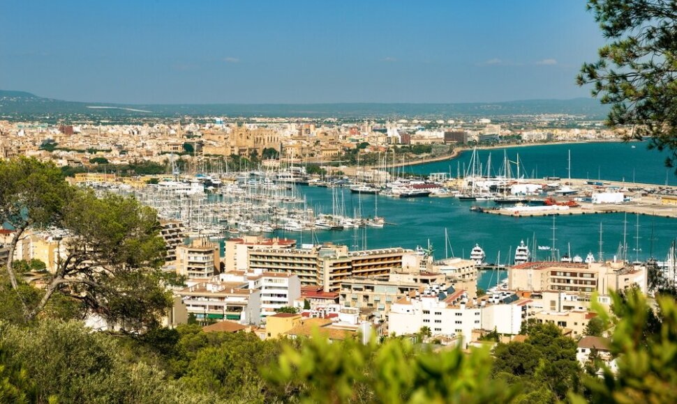 Palma, Maljorka