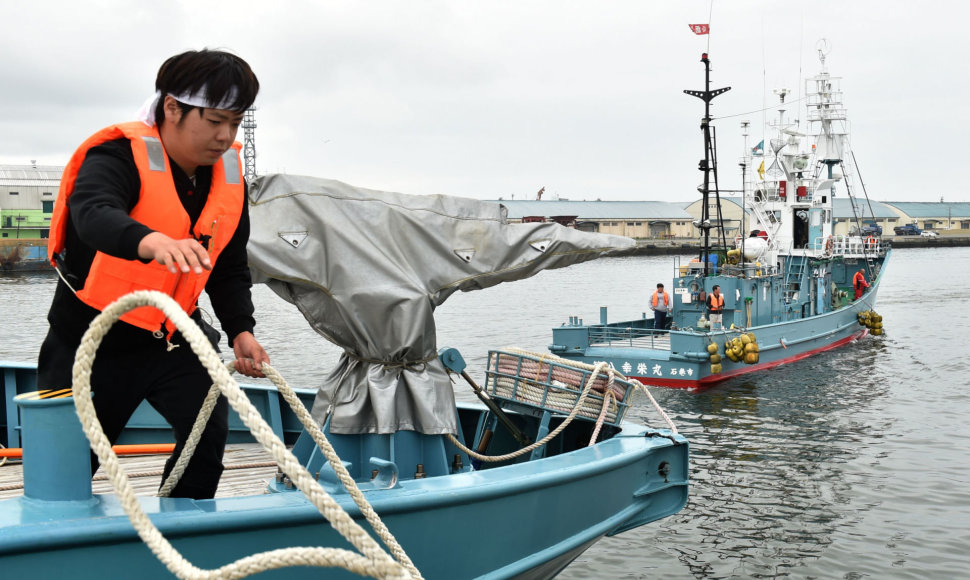 Japonų žvejai pirmadienį pirmą kartą per daugiau nei tris dešimtmečius išplaukė į komercines banginių medžiokles