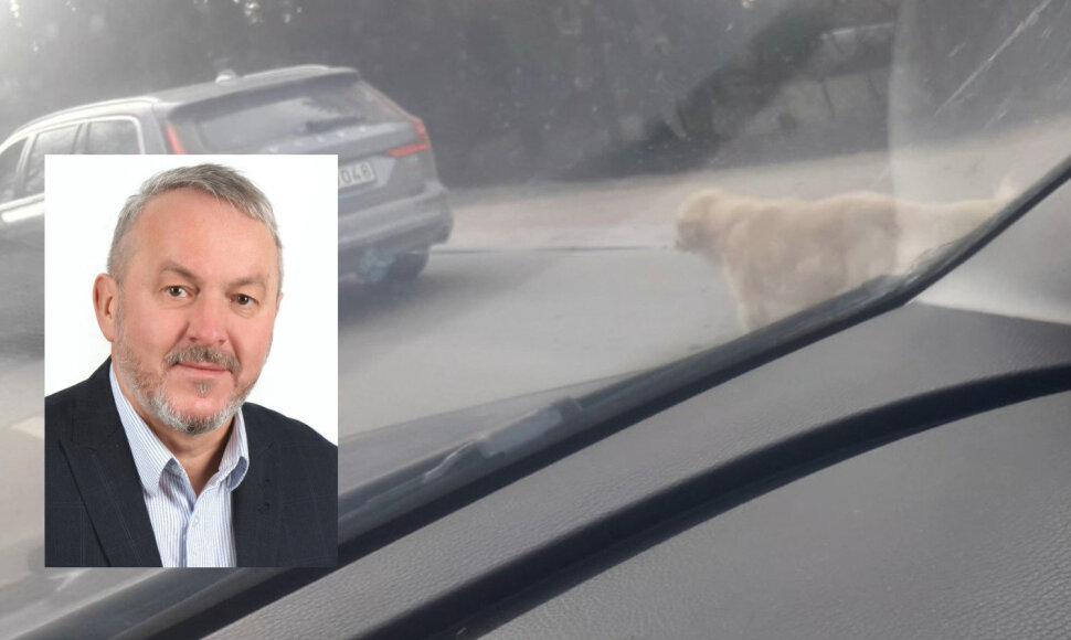 Zigmas Mozuraitis savo &scaron;unį &scaron;ventinį vasario 16-osios savaitgalį &bdquo;vedžiojo&ldquo; priri&scaron;ęs prie automobilio