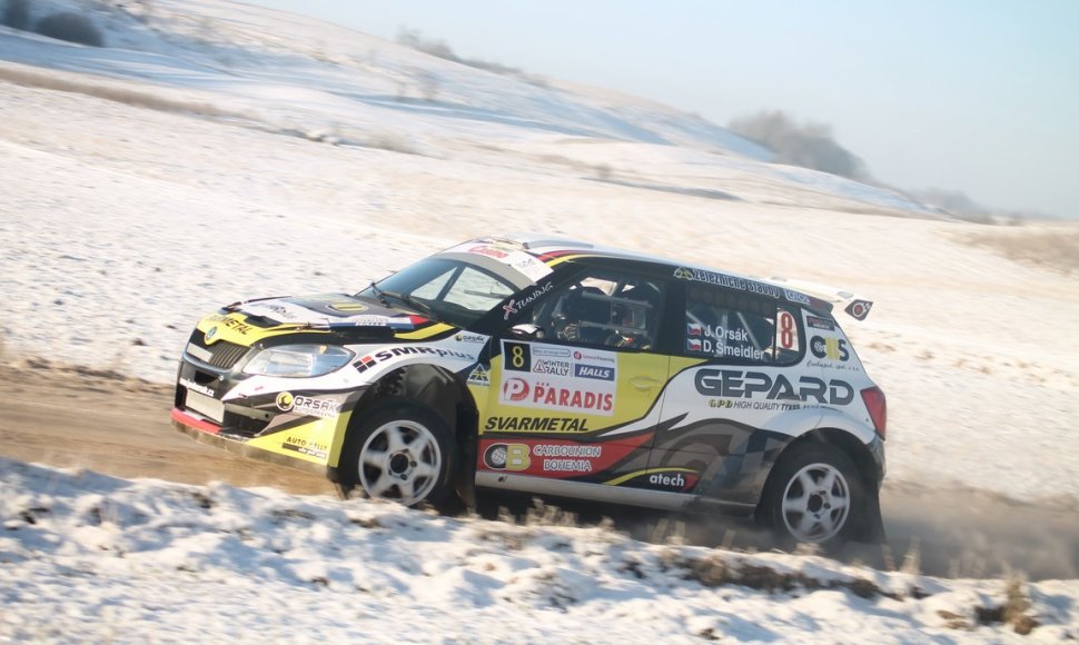 „Halls Winter Rally 2014“ bandomasis greičio ruožas