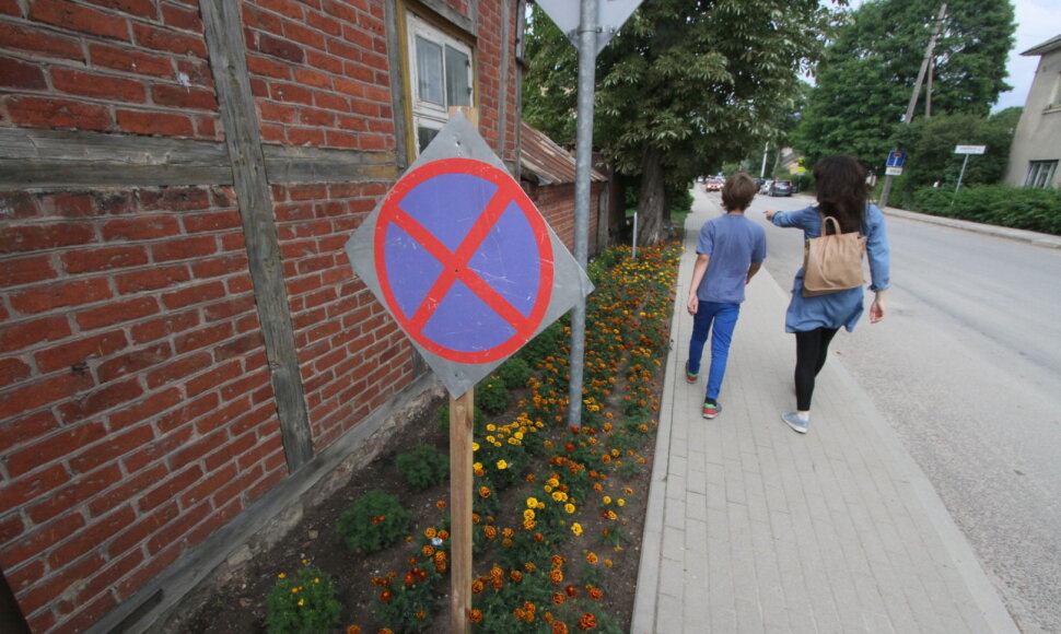 Žagarės vy&scaron;nių festivalis 2018