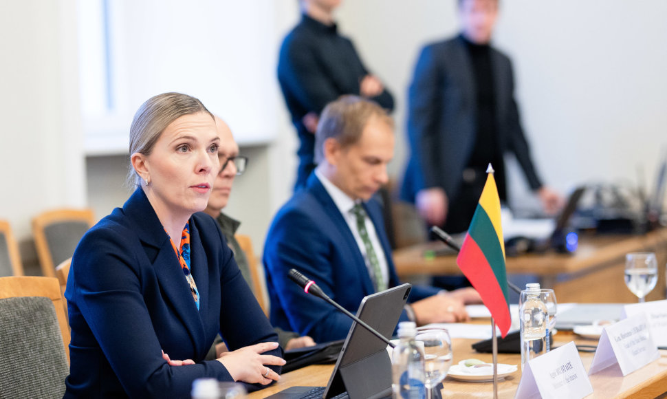 Agnė Bilotaitė susitiko su septynių šalių vidaus reikalų ministrais
