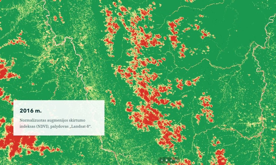 2019–2020 m. „Mano žemėlapis Lietuvai“ konkursinio darbo Iliustracija 