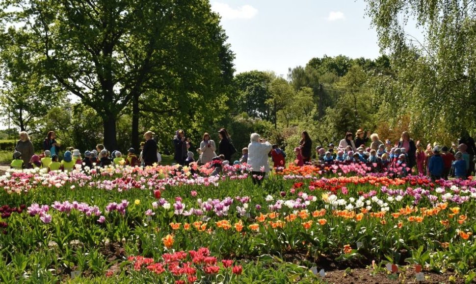 Kauno botanikos sodas kviečia grožėtis augalais
