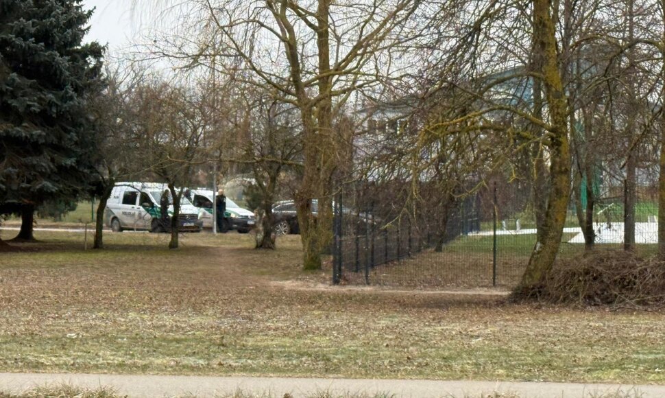 Įvykio vietoje