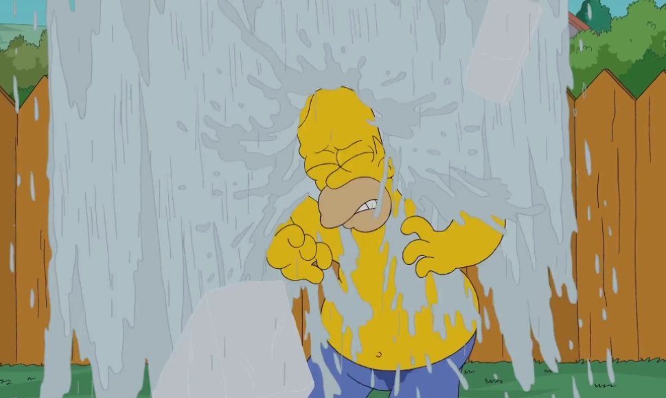 Houmeris Simpsonas priima ledinio vandens iššūkį