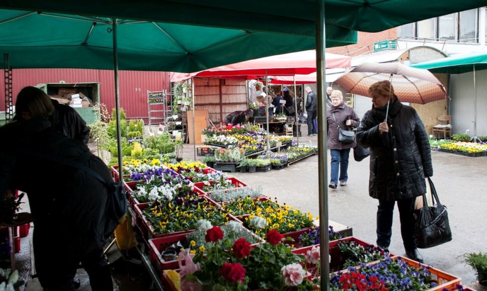 Kalvarijų turgaus rekonstrukcija