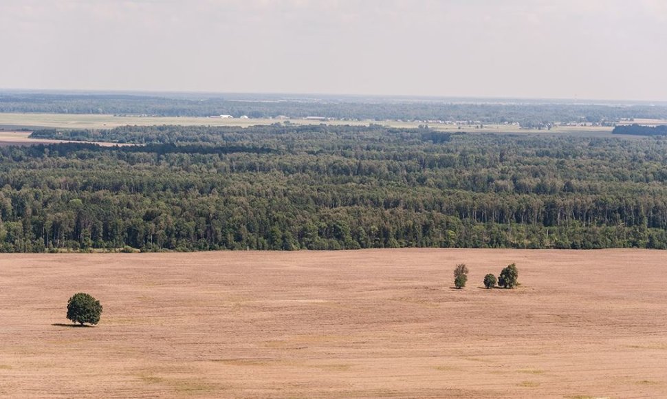 Mindaugo Dulinsko nuotrauka „Tėvas palieka šeimą“ (2014 m., rugpjūtis).