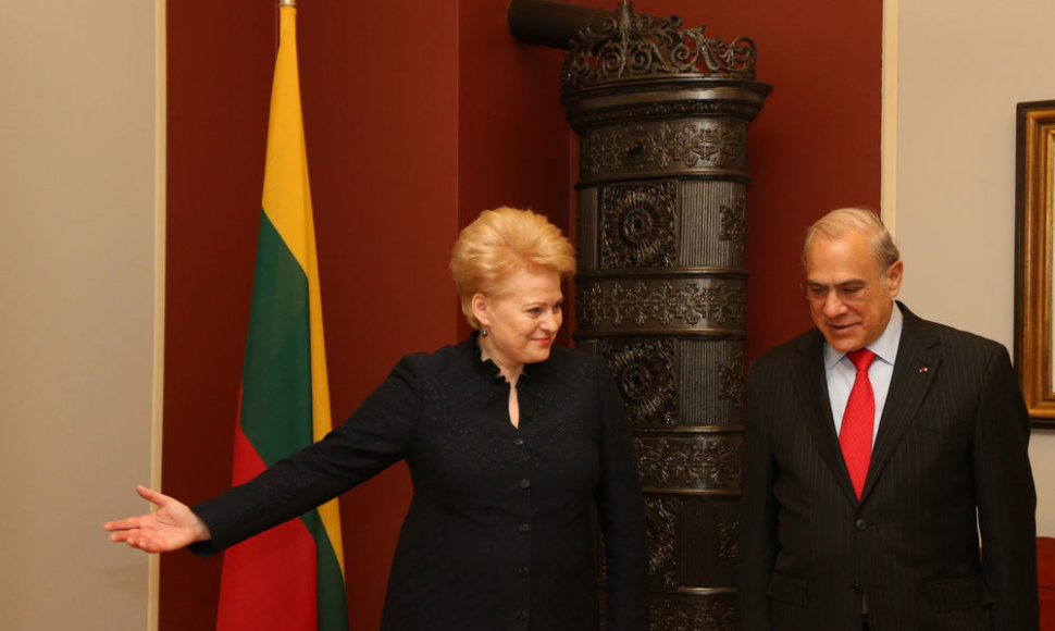 Dalia Grybauskaitė Osle susitiko su Tarptautinės ekonominio bendradarbiavimo ir plėtros organizacijos (TEBIPO) generaliniu sekretoriumi Angelu Gurria. 