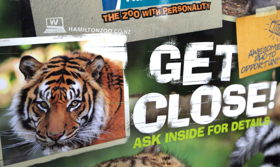 Reklaminis plakatas Hamiltono zoologijos sode