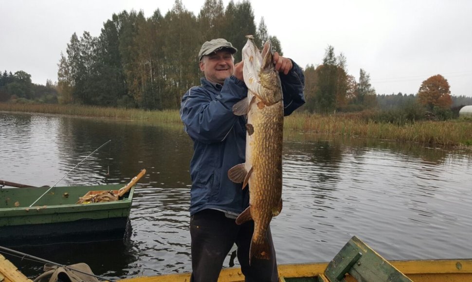 Babrungo upėje žvejys vardu Igoris pagavo didžiausią 2016 m. laimikį – lydeką, kuri svėrė virš 8 kg