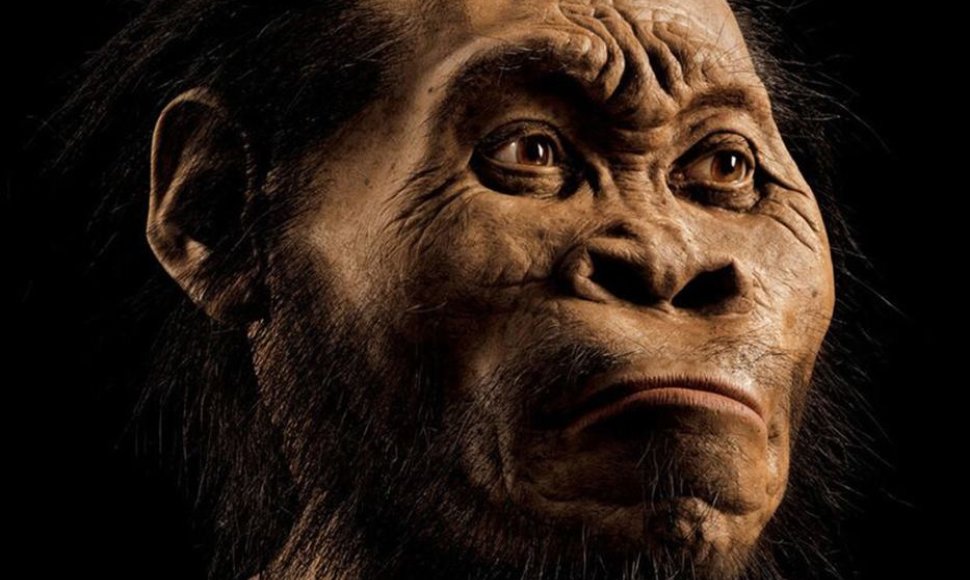 Hominidų fosilijos mokslininkams suteikia daug svarbios informacijos apie žmonių protėvius