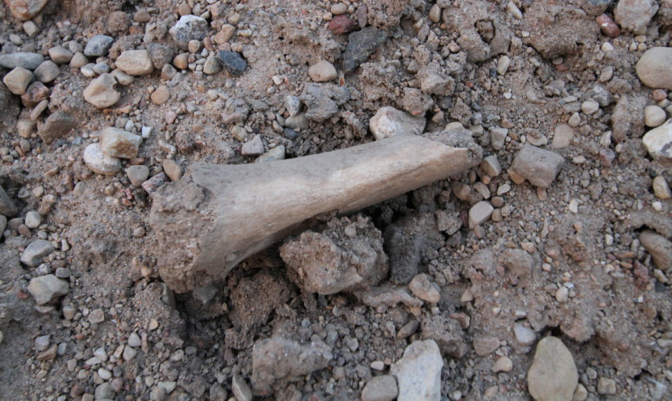 Archeologiniai kasinėjimai Žeimelyje