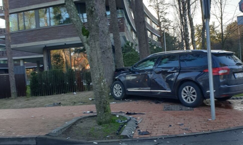 Po smūgio „Citroen“ trenkėsi į medį.