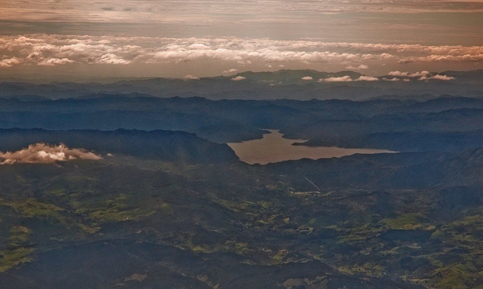 Te Urewera miškas