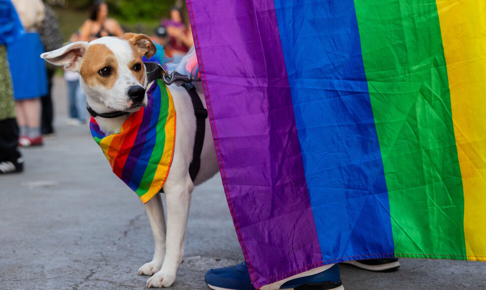 LGBT bendruomenės &bdquo;Už lygybę!&ldquo; koncertas