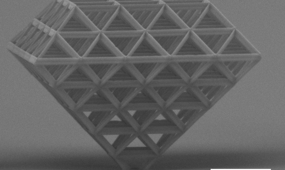 3D nanofabrikavimo staklėmis pagamintas objektas (20 mikrometrų)